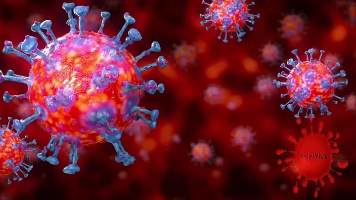 The American Public and the Coronavirus