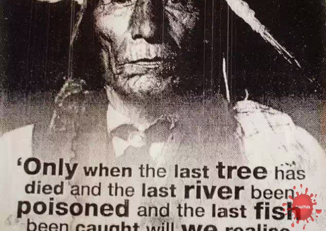 Native American Truth