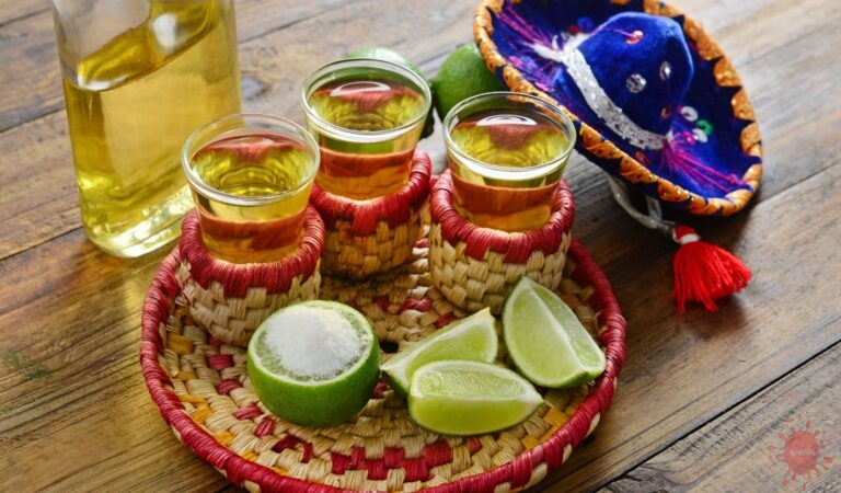 Discover the Finest Tequilas