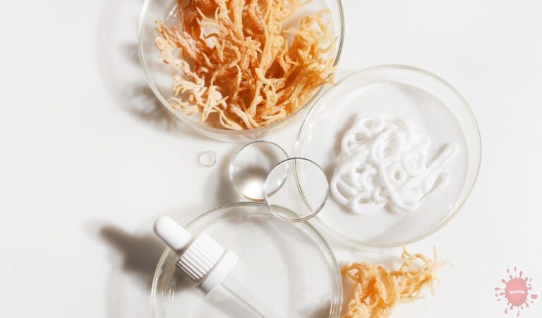 The Incredible Health Benefits of Sea Moss